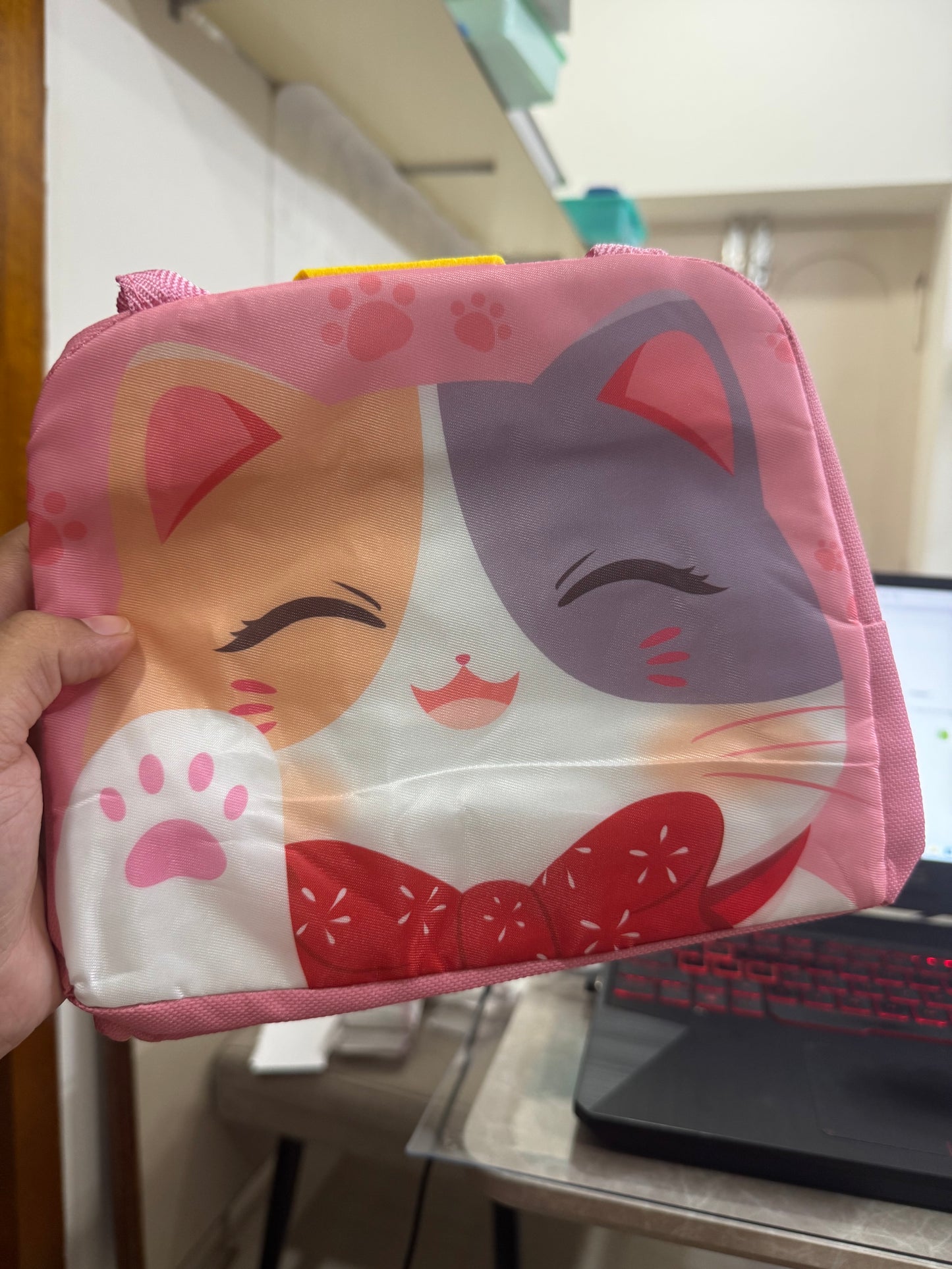 2d cat lunch bag