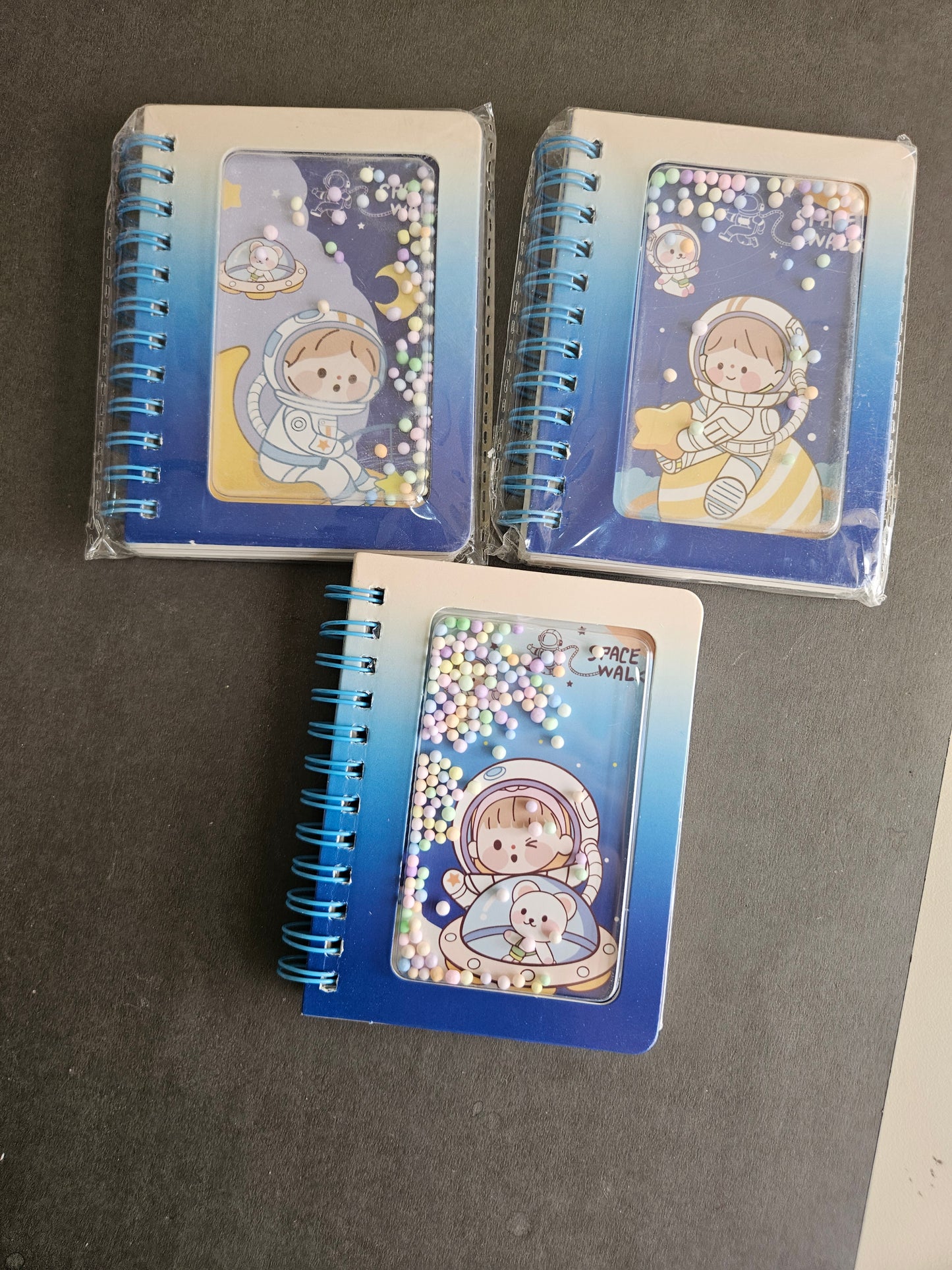 Space mini diaries