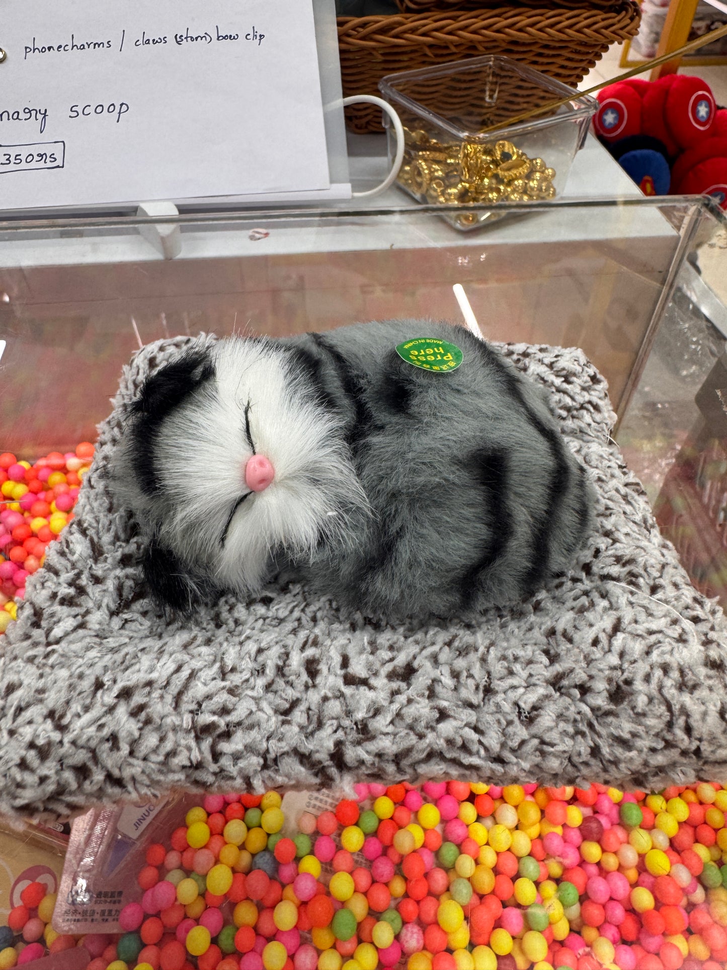 Sleeping cat with sound